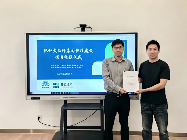 《纯种犬品种基因标准》共建计划 正式发布 品种标准从外观表型向基因科学的模式升级